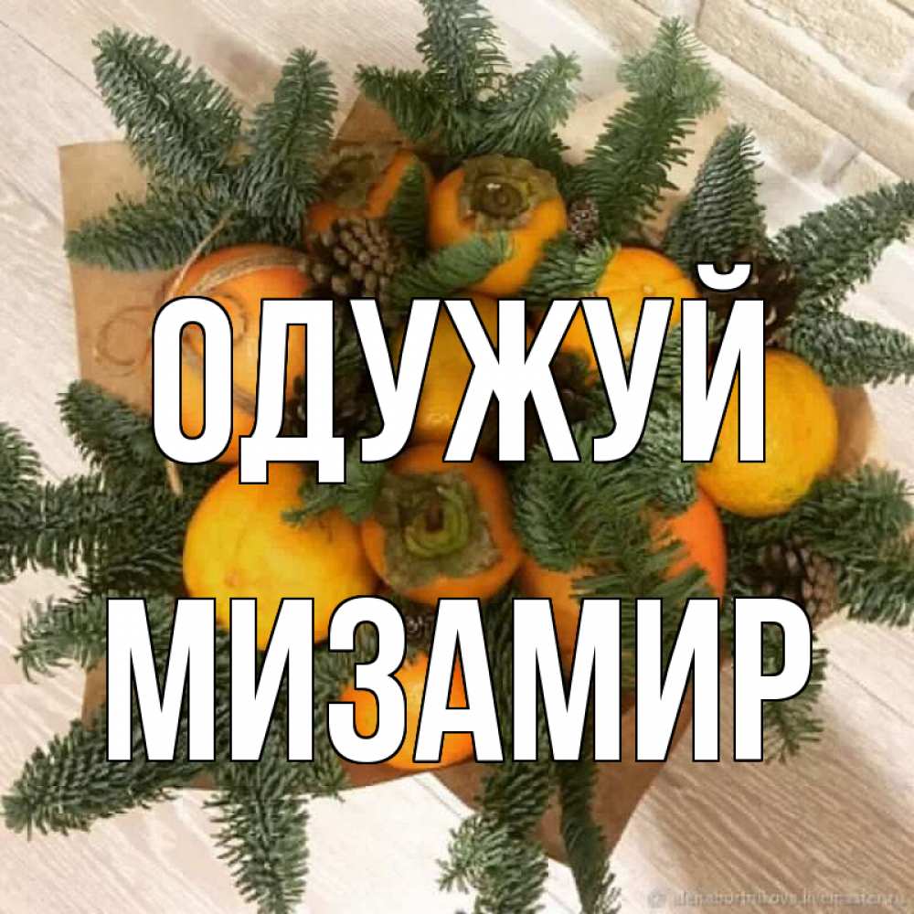 Открытка на каждый день з підписом, Мизамир Одужуй апельсины и хурьма Прикольна листівка з побажанням онлайн скачати безкоштовно 