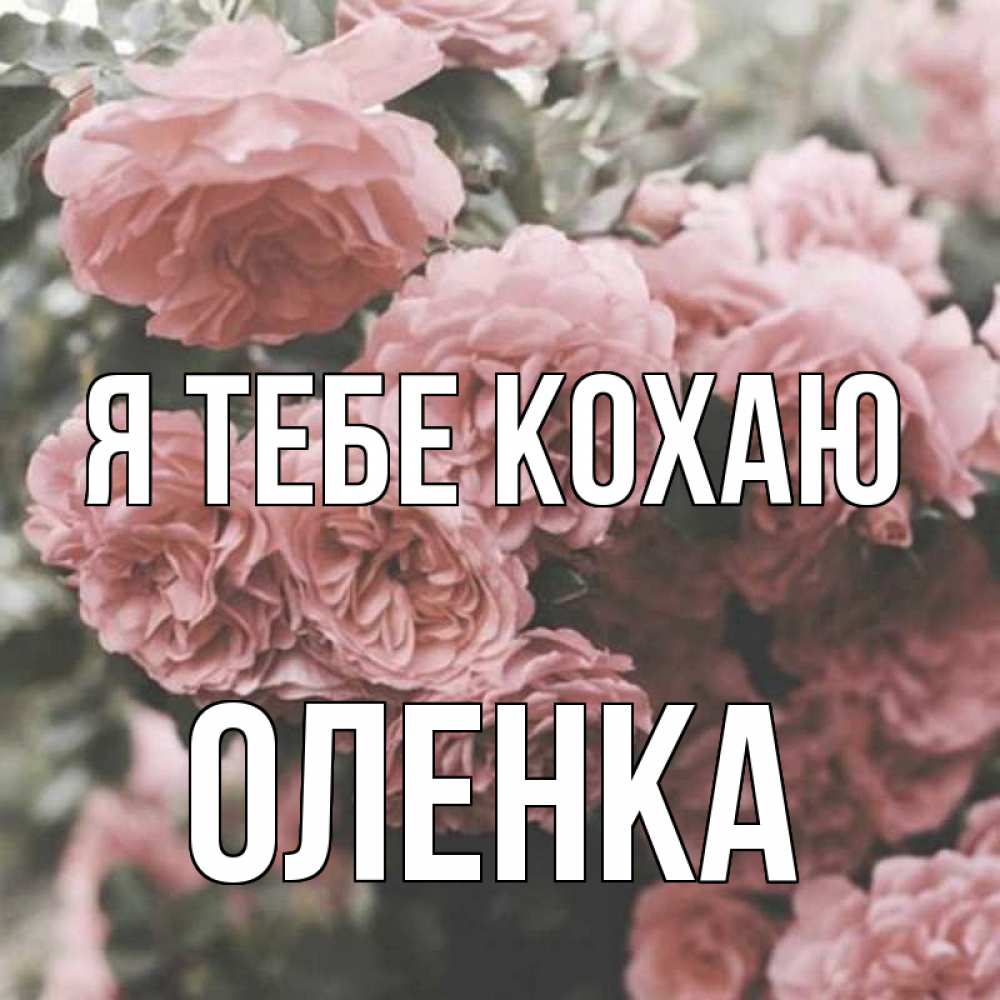 Открытка на каждый день з підписом, Оленка Я тебе кохаю розы 3 Прикольна листівка з побажанням онлайн скачати безкоштовно 