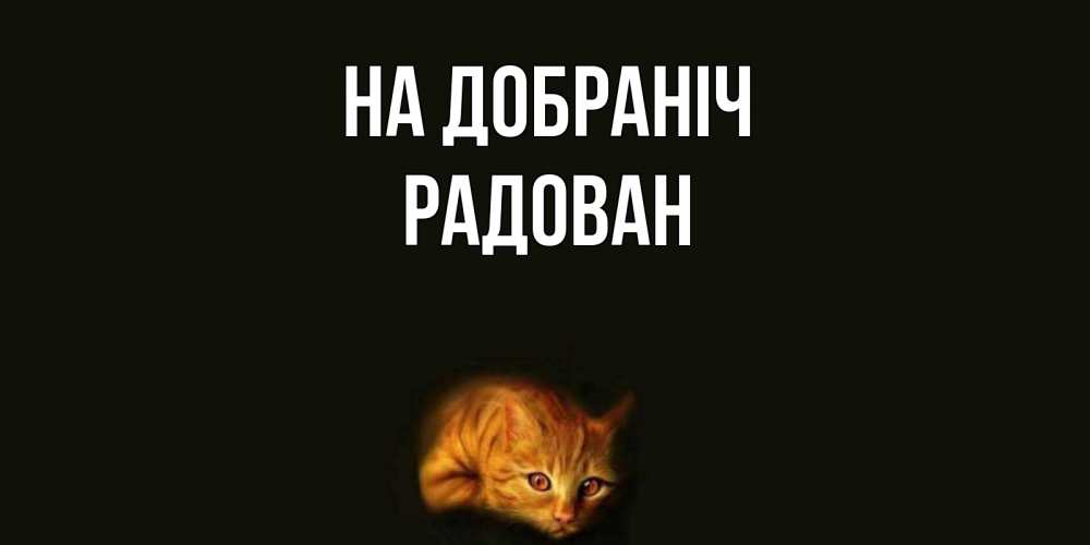 Открытка на каждый день з підписом, Радован На добраніч кот Прикольна листівка з побажанням онлайн скачати безкоштовно 