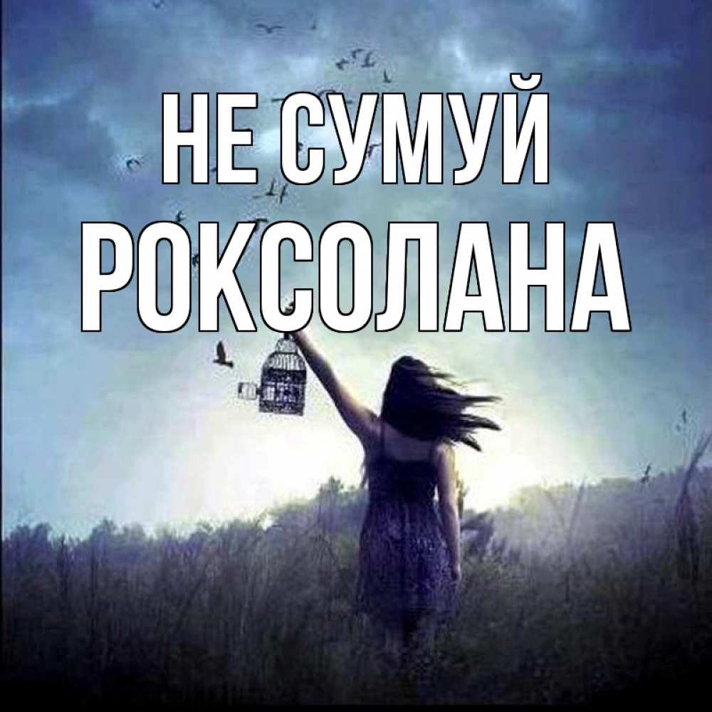 Открытка на каждый день з підписом, Роксолана Не сумуй на волю Прикольна листівка з побажанням онлайн скачати безкоштовно 