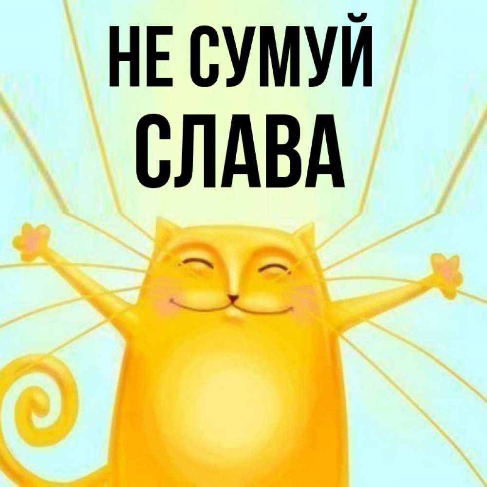 Открытка на каждый день з підписом, Слава Не сумуй обнимашки усатые Прикольна листівка з побажанням онлайн скачати безкоштовно 