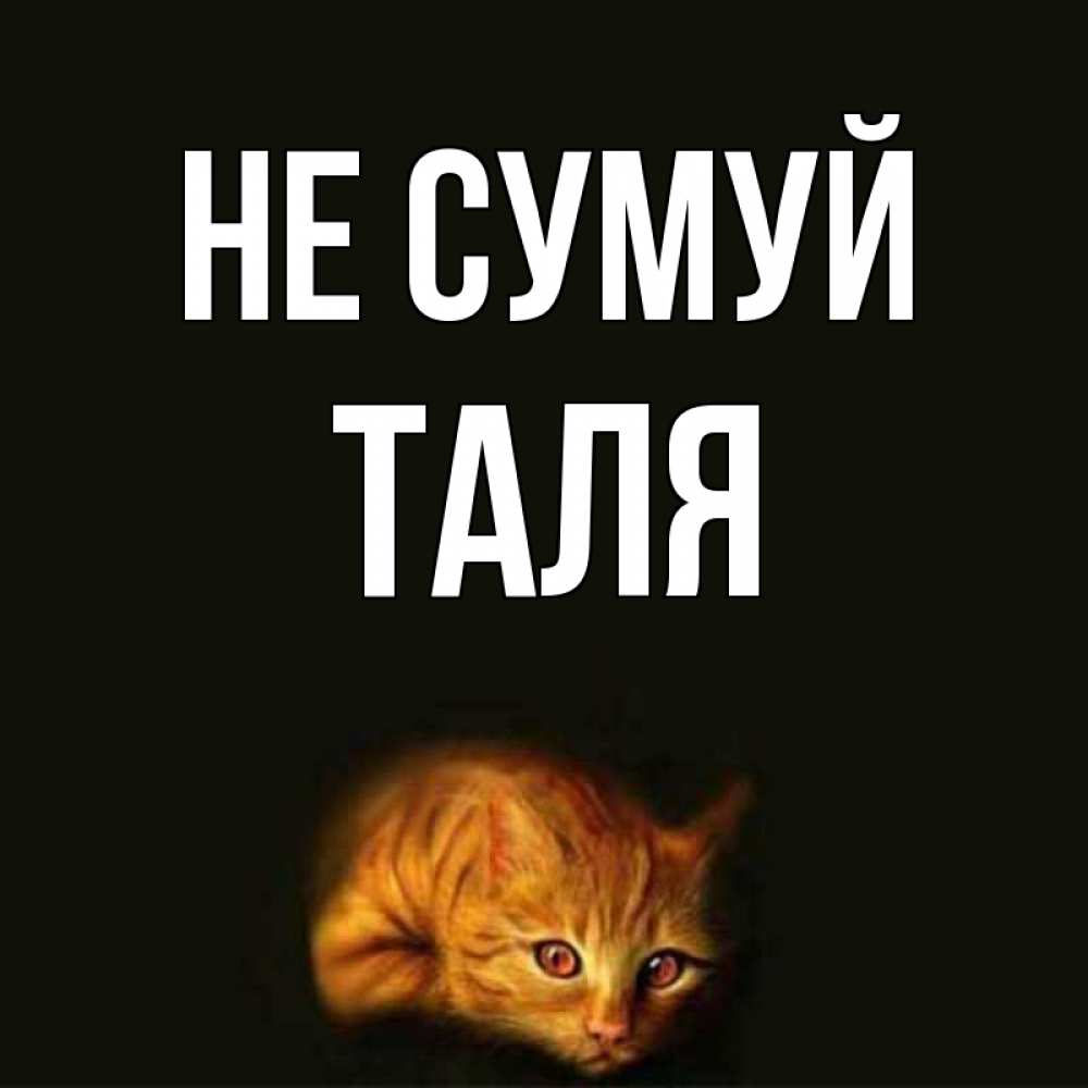 Открытка на каждый день з підписом, Таля Не сумуй лежащий кот в темноте Прикольна листівка з побажанням онлайн скачати безкоштовно 