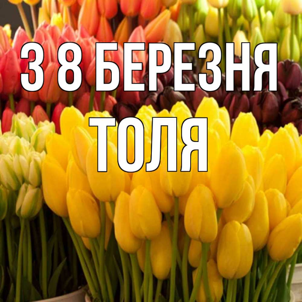 Открытка на каждый день з підписом, Толя З 8 БЕРЕЗНЯ цветы Прикольна листівка з побажанням онлайн скачати безкоштовно 