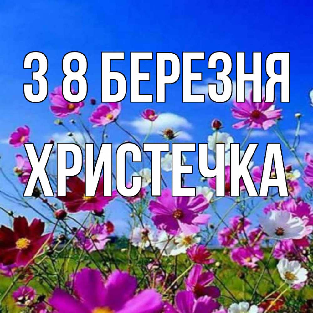 Открытка на каждый день з підписом, Христечка З 8 БЕРЕЗНЯ цветы Прикольна листівка з побажанням онлайн скачати безкоштовно 