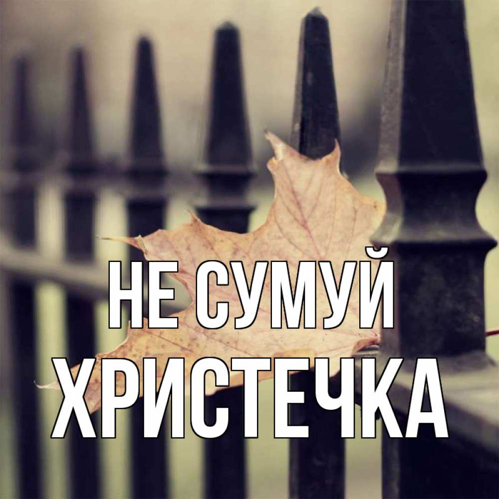 Открытка на каждый день з підписом, Христечка Не сумуй лист клена Прикольна листівка з побажанням онлайн скачати безкоштовно 