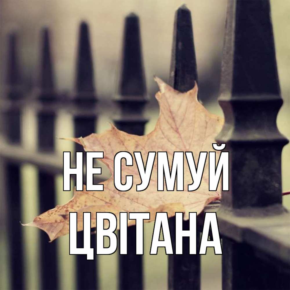 Открытка на каждый день з підписом, Цвітана Не сумуй лист клена Прикольна листівка з побажанням онлайн скачати безкоштовно 