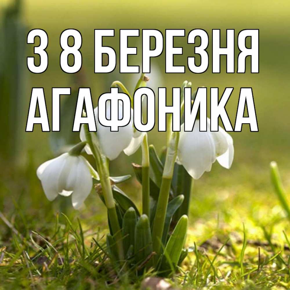 Открытка на каждый день з підписом, Агафоника З 8 БЕРЕЗНЯ ранние цветы 2 Прикольна листівка з побажанням онлайн скачати безкоштовно 