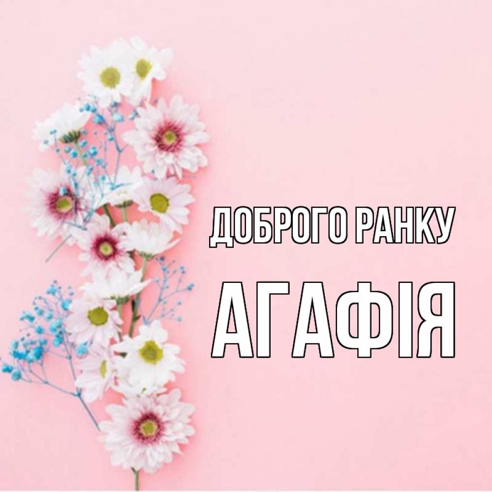 Открытка на каждый день з підписом, Агафія Доброго ранку цветы с подписью Прикольна листівка з побажанням онлайн скачати безкоштовно 