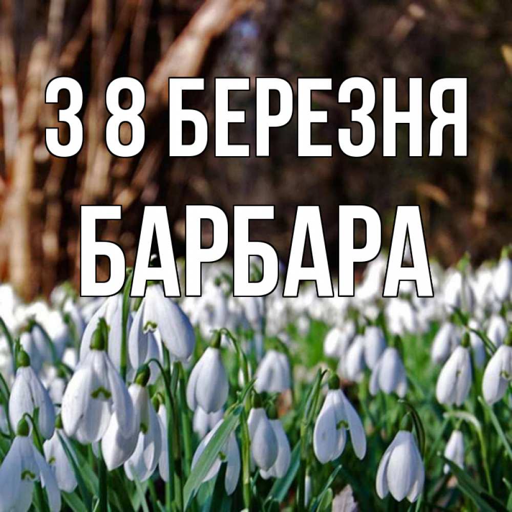 Открытка на каждый день з підписом, Барбара З 8 БЕРЕЗНЯ с подснежниками 1 Прикольна листівка з побажанням онлайн скачати безкоштовно 