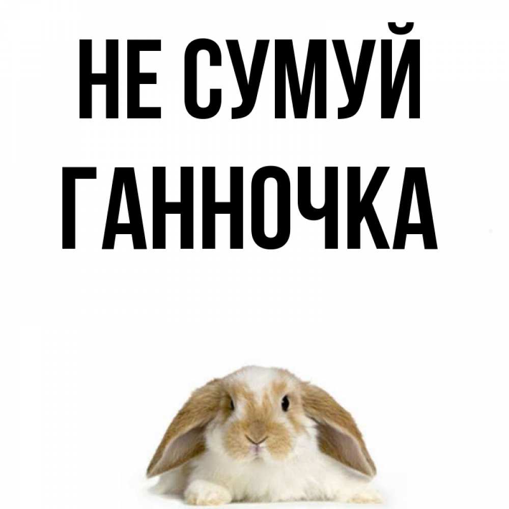 Открытка на каждый день з підписом, Ганночка Не сумуй коричнево белый заяц с большими ушками Прикольна листівка з побажанням онлайн скачати безкоштовно 