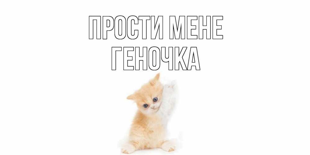 Открытка на каждый день з підписом, Геночка Прости мене кот Прикольна листівка з побажанням онлайн скачати безкоштовно 
