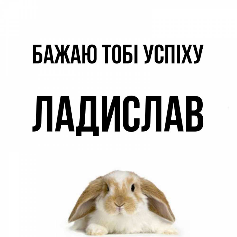 Открытка на каждый день з підписом, Ладислав Бажаю тобі успіху открытки с произвольным текстом который можно вставить в открытку и создать ее самостоятельно бесплатно онлайн Прикольна листівка з побажанням онлайн скачати безкоштовно 