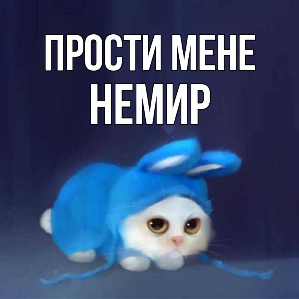 Открытка на каждый день з підписом, Немир Прости мене невинный котозай просит прощения Прикольна листівка з побажанням онлайн скачати безкоштовно 