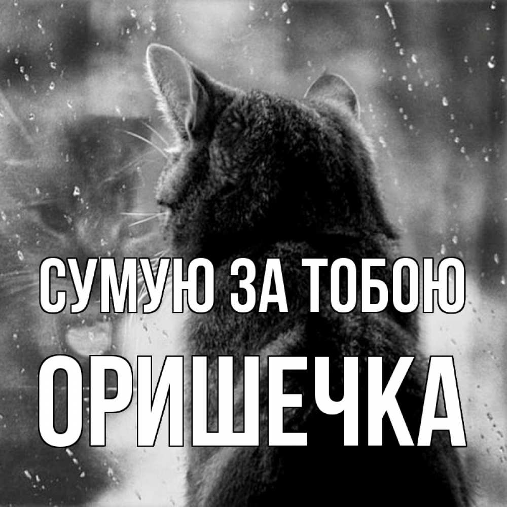 Открытка на каждый день з підписом, Оришечка Сумую за тобою скорее ко мне приходи 1 Прикольна листівка з побажанням онлайн скачати безкоштовно 