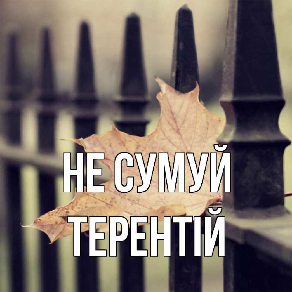 Открытка на каждый день з підписом, Терентій Не сумуй лист клена Прикольна листівка з побажанням онлайн скачати безкоштовно 