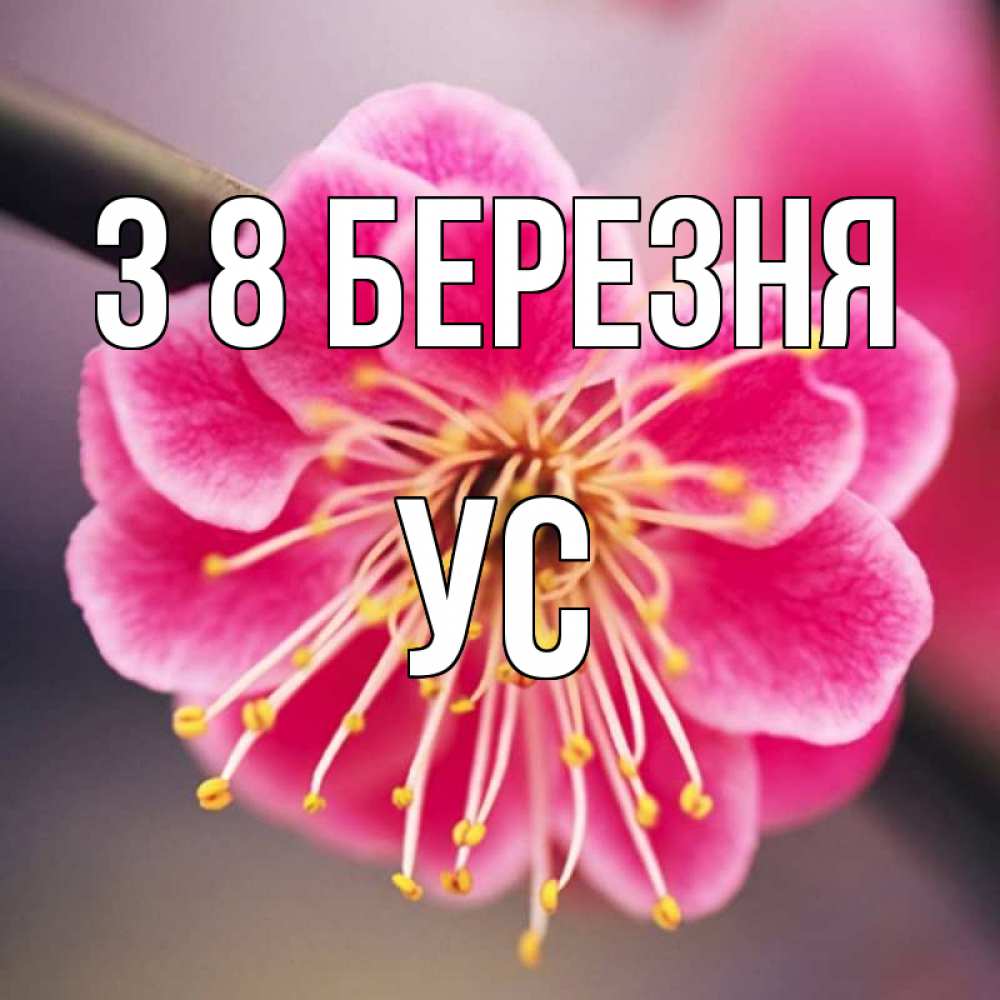Открытка на каждый день з підписом, Ус З 8 БЕРЕЗНЯ цветы Прикольна листівка з побажанням онлайн скачати безкоштовно 