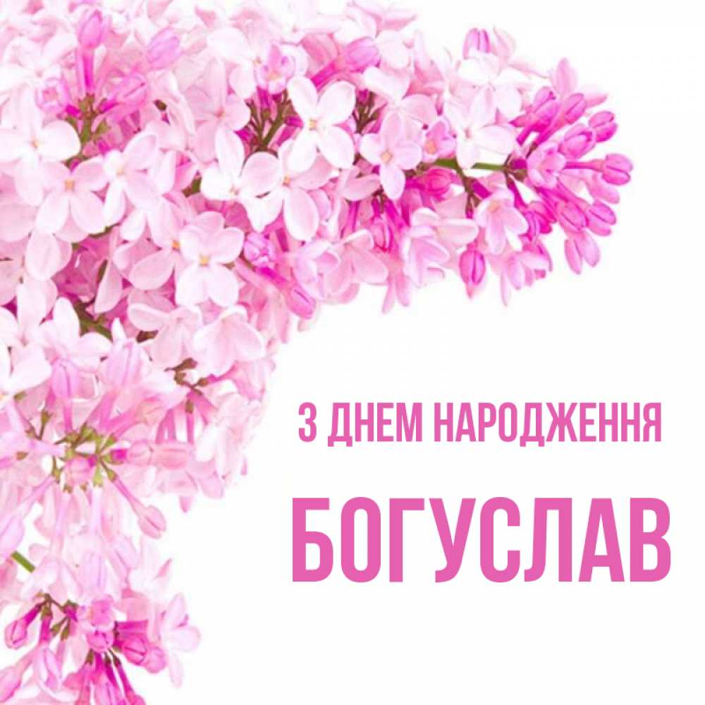 Открытка на каждый день з підписом, Богуслав З Днем народження Сирень на белом фоне Прикольна листівка з побажанням онлайн скачати безкоштовно 