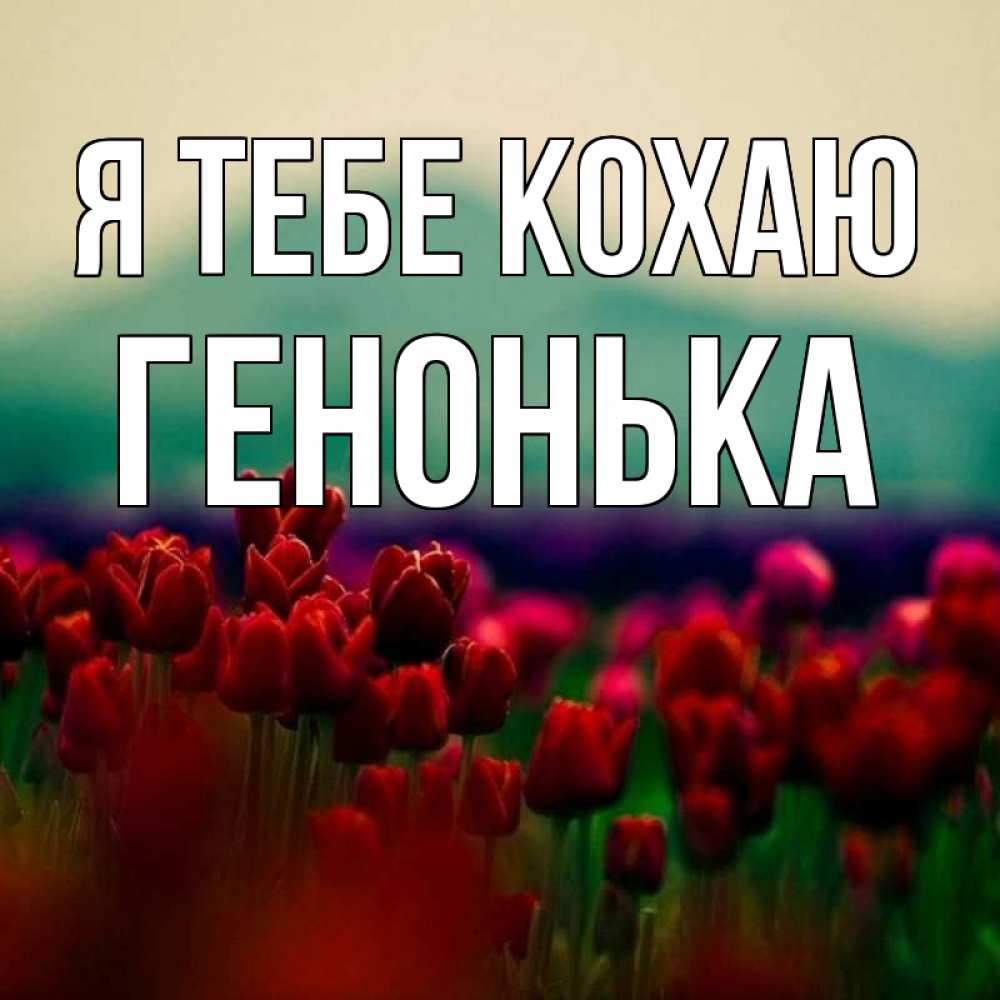 Открытка на каждый день з підписом, Генонька Я тебе кохаю тюльпаны 4 Прикольна листівка з побажанням онлайн скачати безкоштовно 