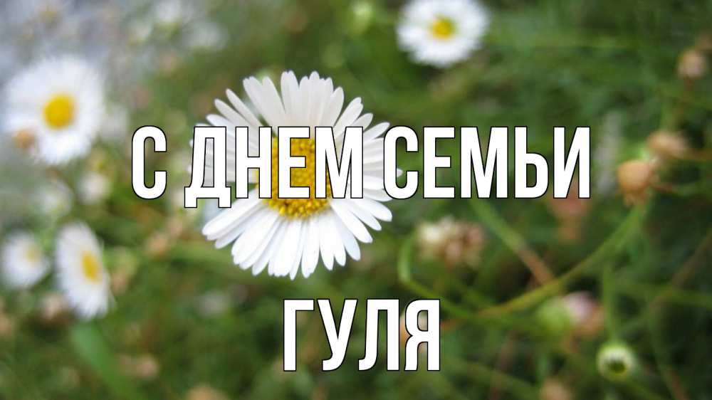 Открытка на каждый день з підписом, Гуля С днем семьи с днем семьи Прикольна листівка з побажанням онлайн скачати безкоштовно 