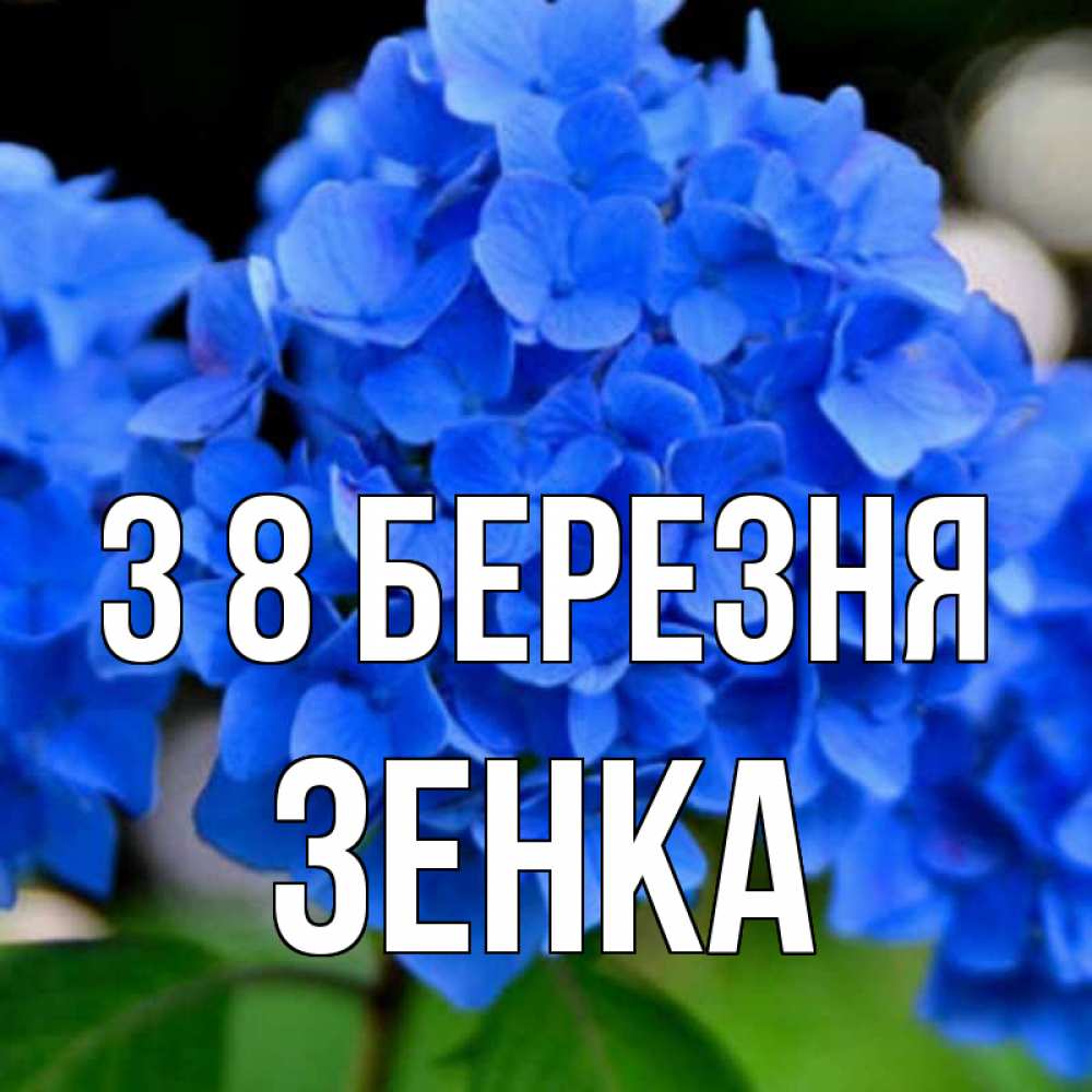 Открытка на каждый день з підписом, Зенка З 8 БЕРЕЗНЯ синие цветы Прикольна листівка з побажанням онлайн скачати безкоштовно 