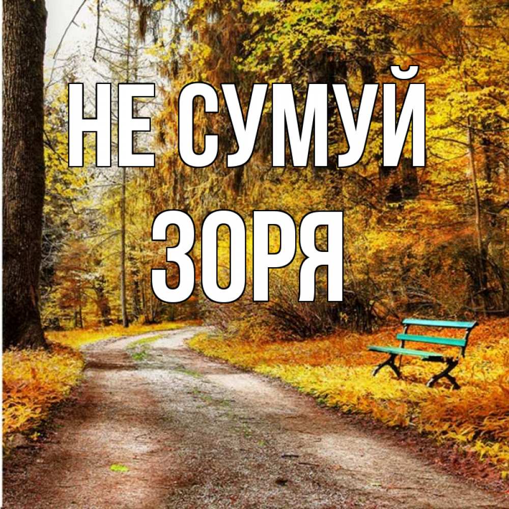 Открытка на каждый день з підписом, Зоря Не сумуй зеленая лавочка Прикольна листівка з побажанням онлайн скачати безкоштовно 