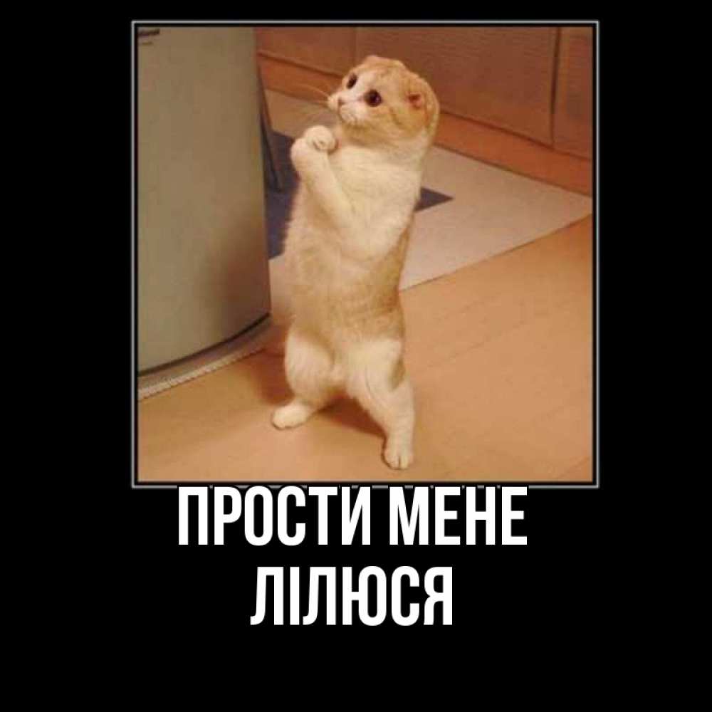 Открытка на каждый день з підписом, Лілюся Прости мене открытка с милым несчастным котиком просящим прощения Прикольна листівка з побажанням онлайн скачати безкоштовно 