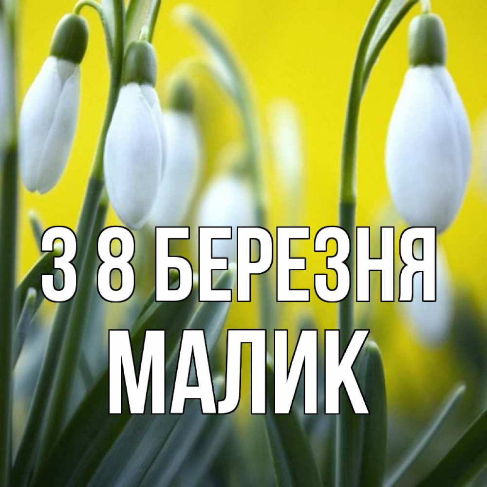 Открытка на каждый день з підписом, Малик З 8 БЕРЕЗНЯ весенние цветы Прикольна листівка з побажанням онлайн скачати безкоштовно 