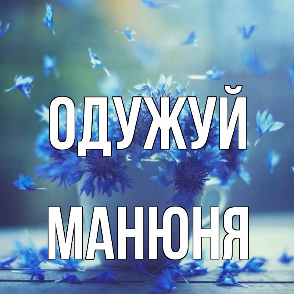 Открытка на каждый день з підписом, Манюня Одужуй кружка с зельем и цветами Прикольна листівка з побажанням онлайн скачати безкоштовно 