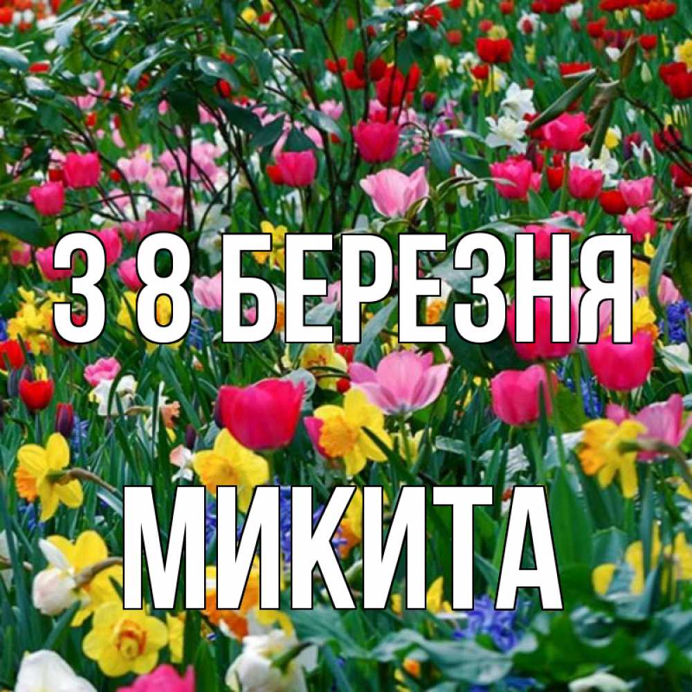 Открытка на каждый день з підписом, Микита З 8 БЕРЕЗНЯ с международным женским днем поздравления для женщины Прикольна листівка з побажанням онлайн скачати безкоштовно 