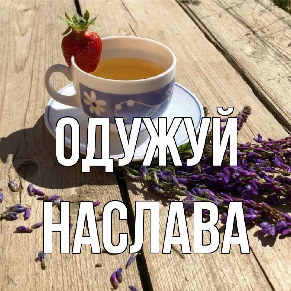 Открытка на каждый день з підписом, Наслава Одужуй чай Прикольна листівка з побажанням онлайн скачати безкоштовно 