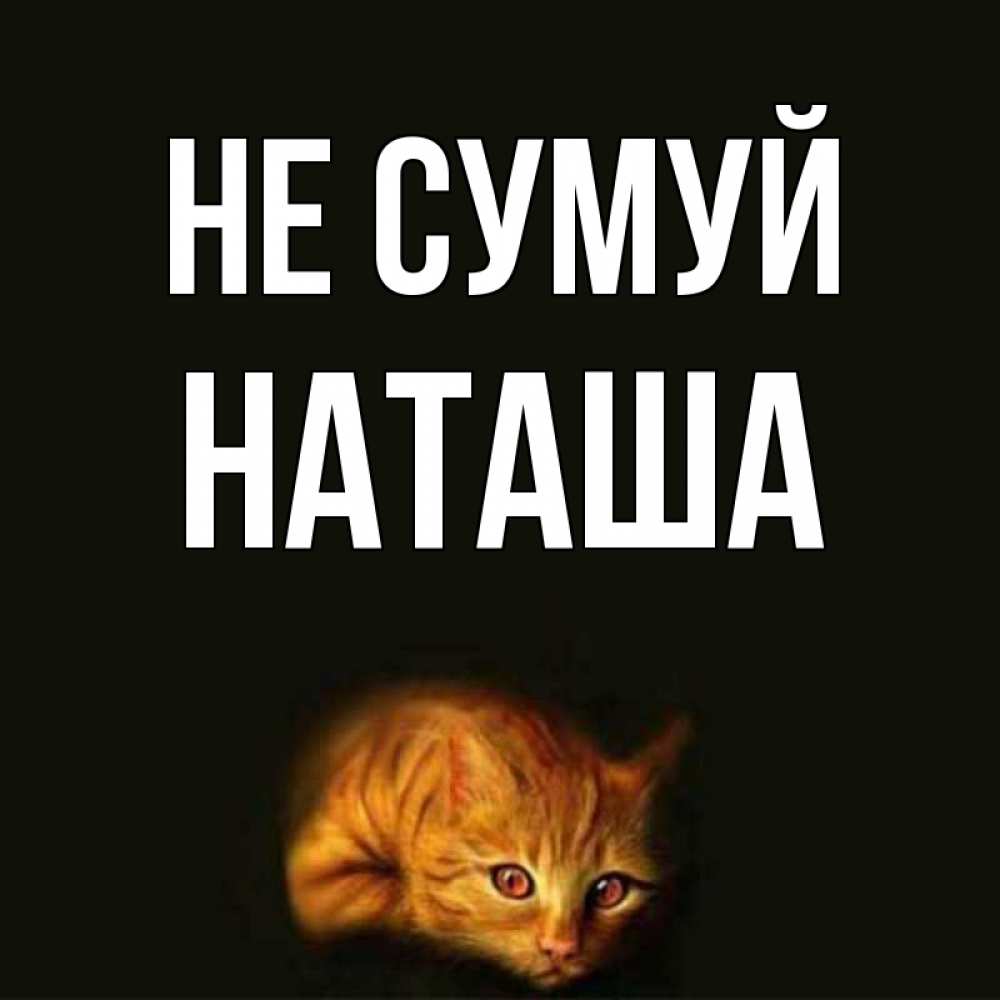 Открытка на каждый день з підписом, Наташа Не сумуй лежащий кот в темноте Прикольна листівка з побажанням онлайн скачати безкоштовно 