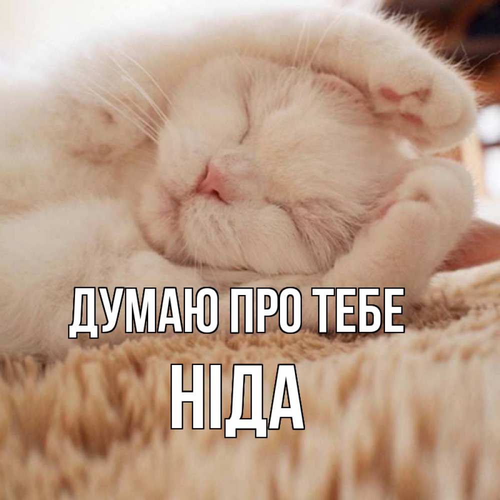 Открытка на каждый день з підписом, Ніда Думаю про тебе для любимой девушки милота Прикольна листівка з побажанням онлайн скачати безкоштовно 