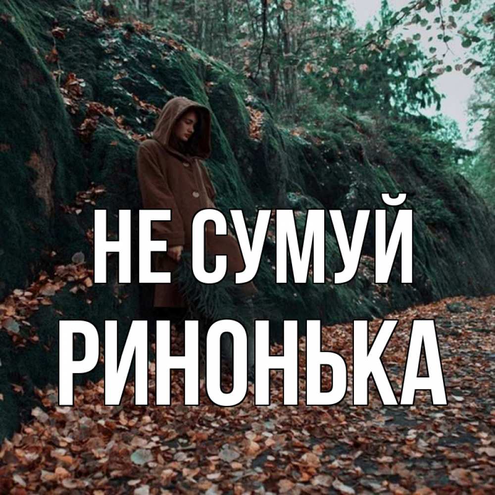 Открытка на каждый день з підписом, Ринонька Не сумуй осенний лес Прикольна листівка з побажанням онлайн скачати безкоштовно 