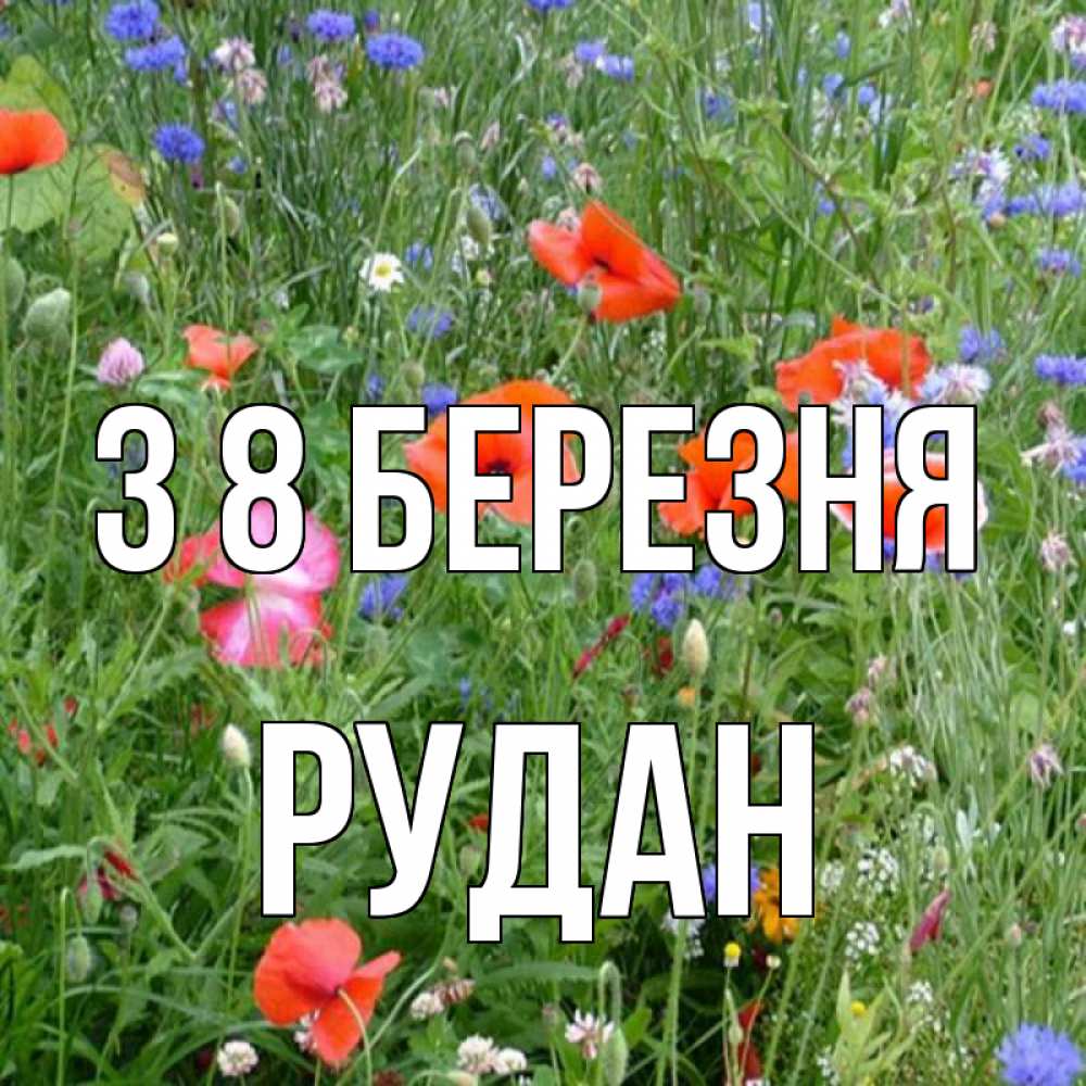 Открытка на каждый день з підписом, Рудан З 8 БЕРЕЗНЯ международный женский день 4 Прикольна листівка з побажанням онлайн скачати безкоштовно 