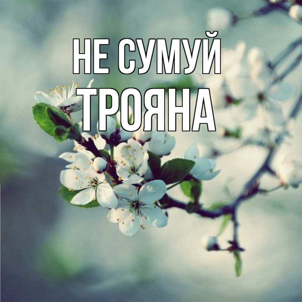 Открытка на каждый день з підписом, Трояна Не сумуй яблоня в цвету 1 Прикольна листівка з побажанням онлайн скачати безкоштовно 