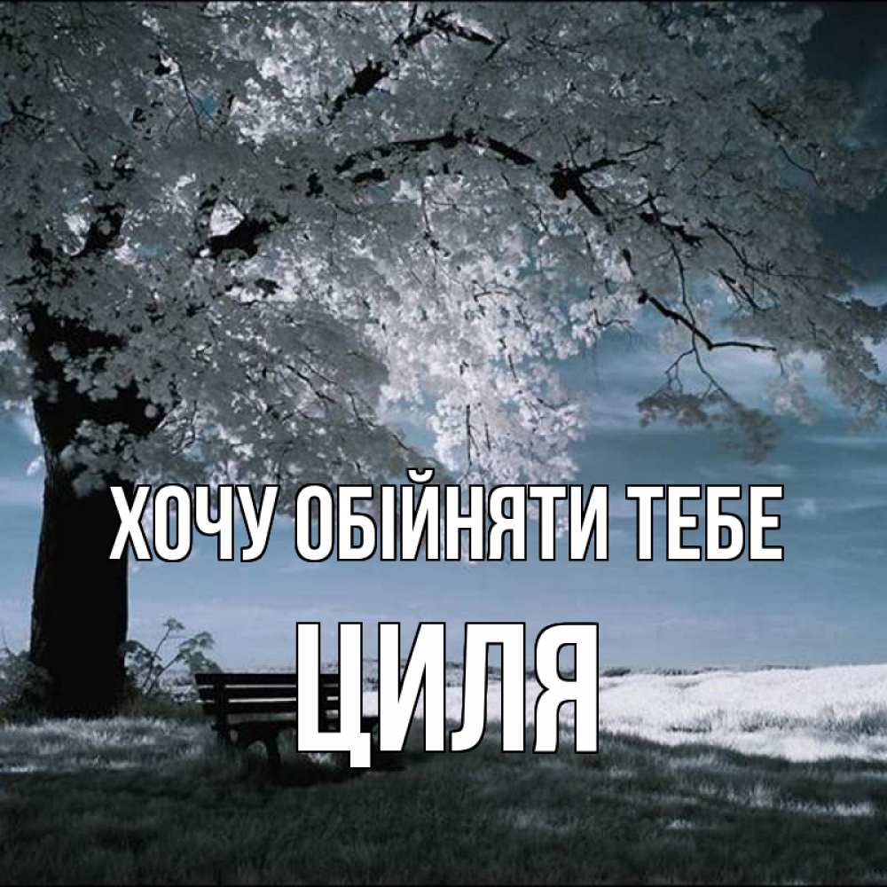 Открытка на каждый день з підписом, Циля Хочу обійняти тебе дерево Прикольна листівка з побажанням онлайн скачати безкоштовно 