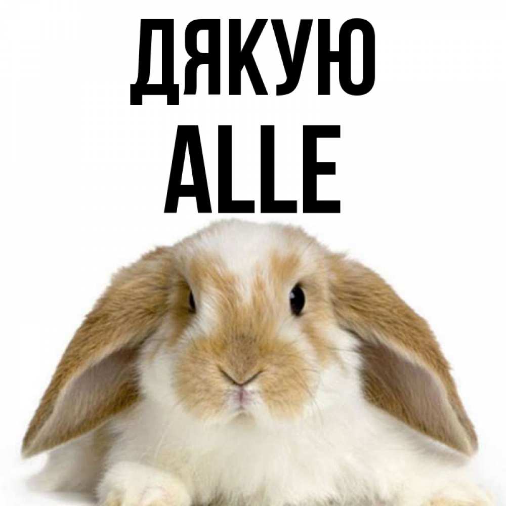 Открытка на каждый день з підписом, Alle Дякую коричнево белый заяц Прикольна листівка з побажанням онлайн скачати безкоштовно 