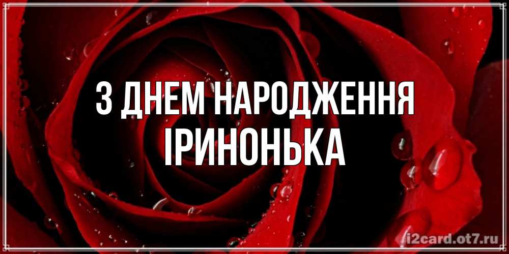 Открытка на каждый день з підписом, Іринонька З Днем народження крупная бордовая роза Прикольна листівка з побажанням онлайн скачати безкоштовно 