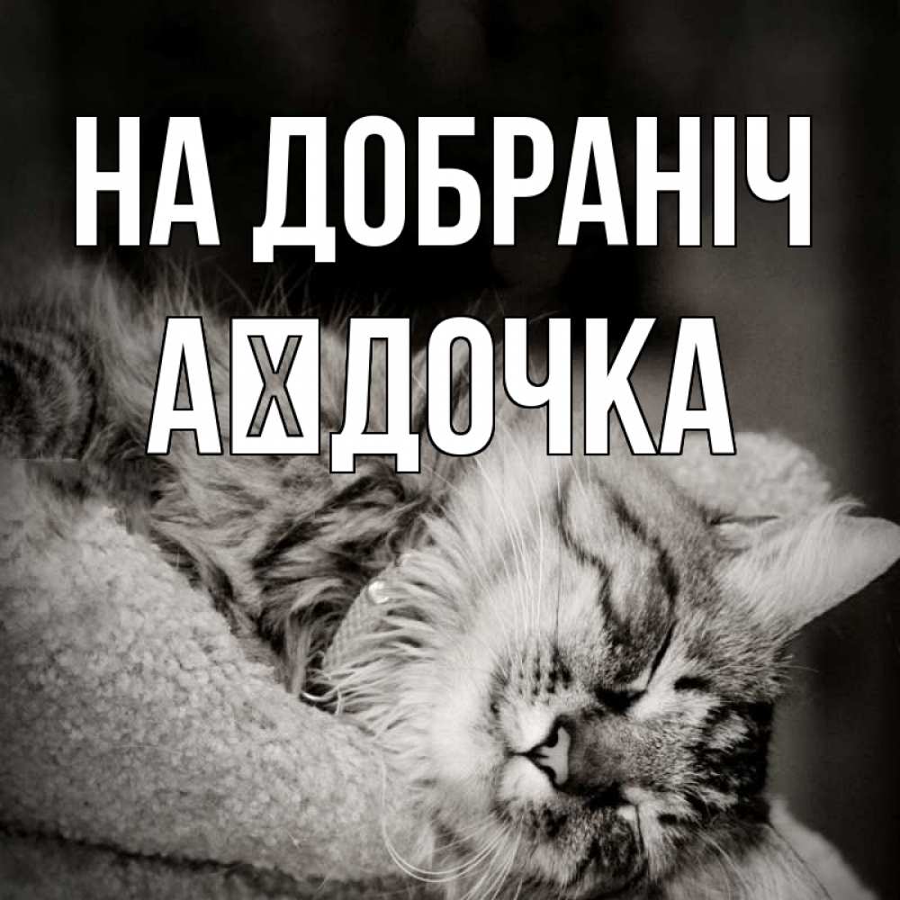 Открытка на каждый день з підписом, Аїдочка На добраніч котярик пушистый Прикольна листівка з побажанням онлайн скачати безкоштовно 