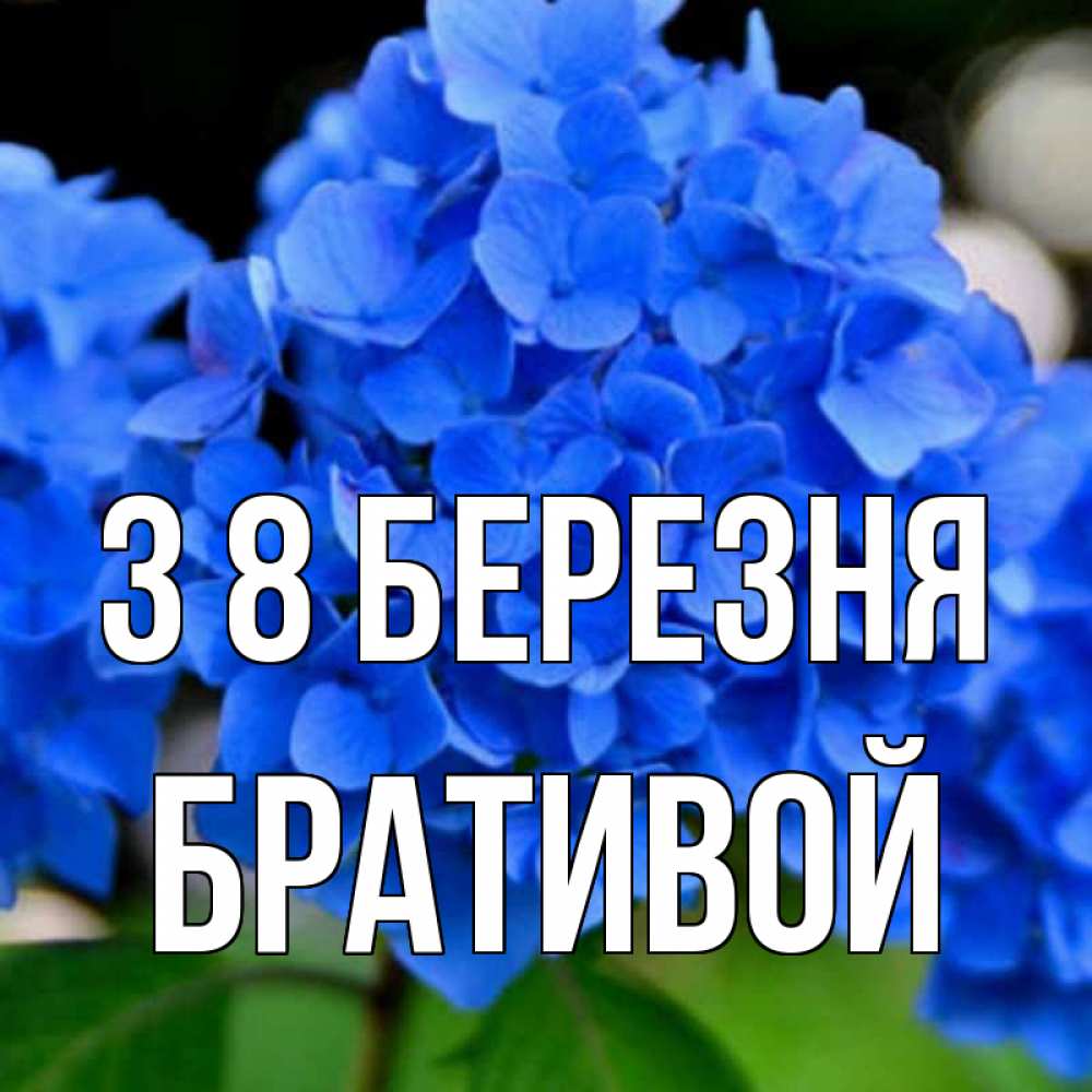 Открытка на каждый день з підписом, Бративой З 8 БЕРЕЗНЯ синие цветы Прикольна листівка з побажанням онлайн скачати безкоштовно 