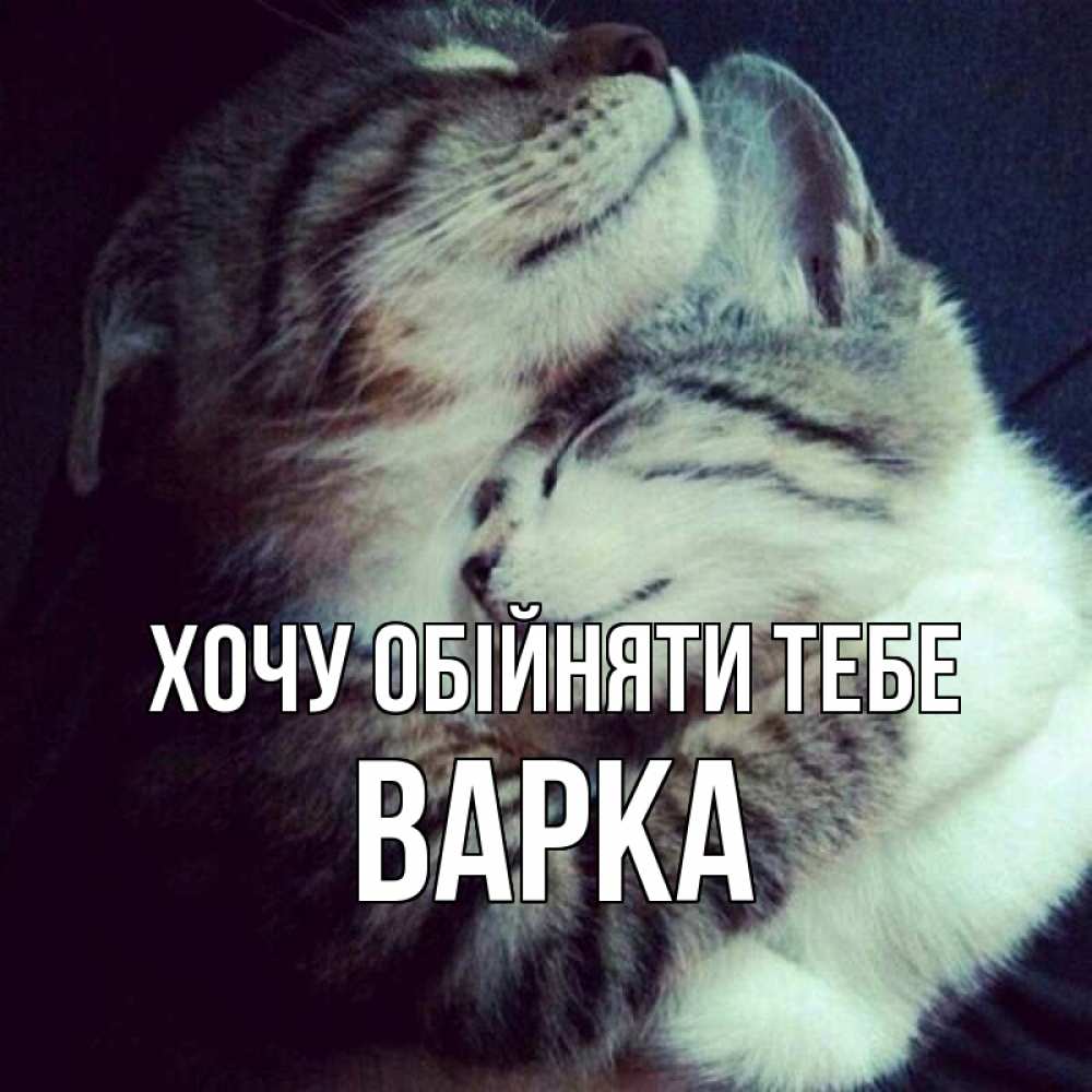 Открытка на каждый день з підписом, Варка Хочу обійняти тебе полосатики Прикольна листівка з побажанням онлайн скачати безкоштовно 
