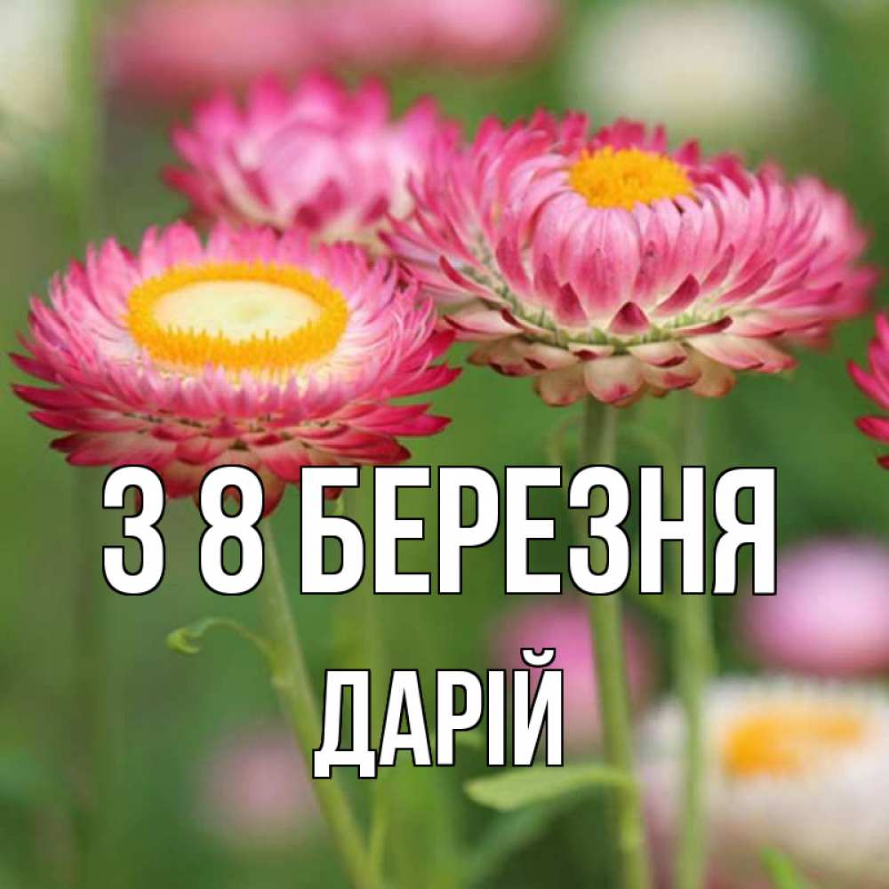 Открытка на каждый день з підписом, Дарій З 8 БЕРЕЗНЯ подарок на международный женский день Прикольна листівка з побажанням онлайн скачати безкоштовно 