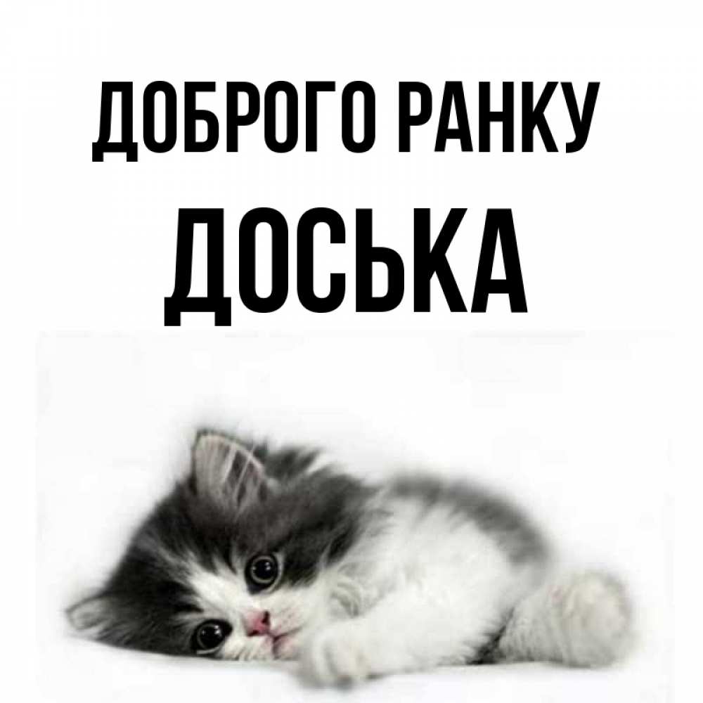 Открытка на каждый день з підписом, Доська Доброго ранку кот лапки Прикольна листівка з побажанням онлайн скачати безкоштовно 