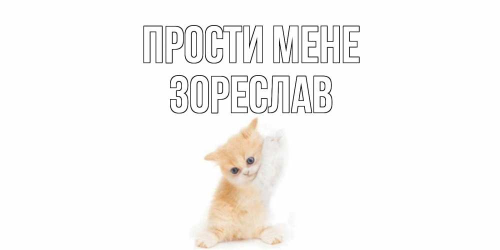 Открытка на каждый день з підписом, Зореслав Прости мене кот Прикольна листівка з побажанням онлайн скачати безкоштовно 