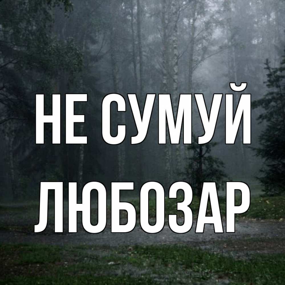 Открытка на каждый день з підписом, Любозар Не сумуй осень Прикольна листівка з побажанням онлайн скачати безкоштовно 