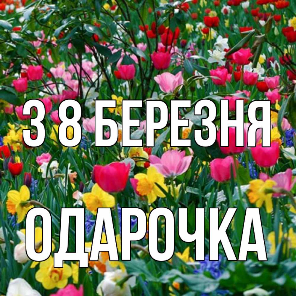Открытка на каждый день з підписом, Одарочка З 8 БЕРЕЗНЯ с международным женским днем поздравления для женщины Прикольна листівка з побажанням онлайн скачати безкоштовно 