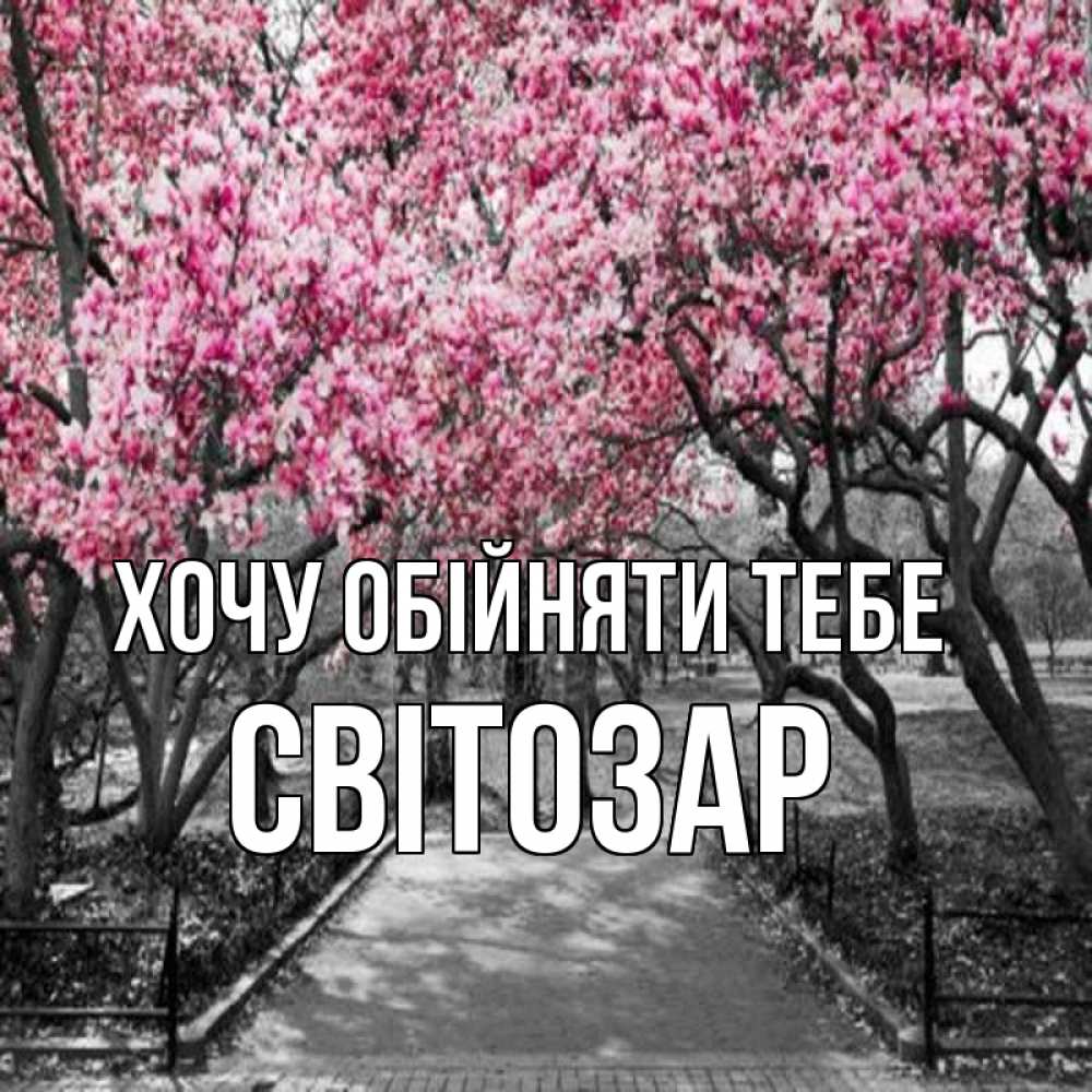 Открытка на каждый день з підписом, Світозар Хочу обійняти тебе обработанное фото Прикольна листівка з побажанням онлайн скачати безкоштовно 