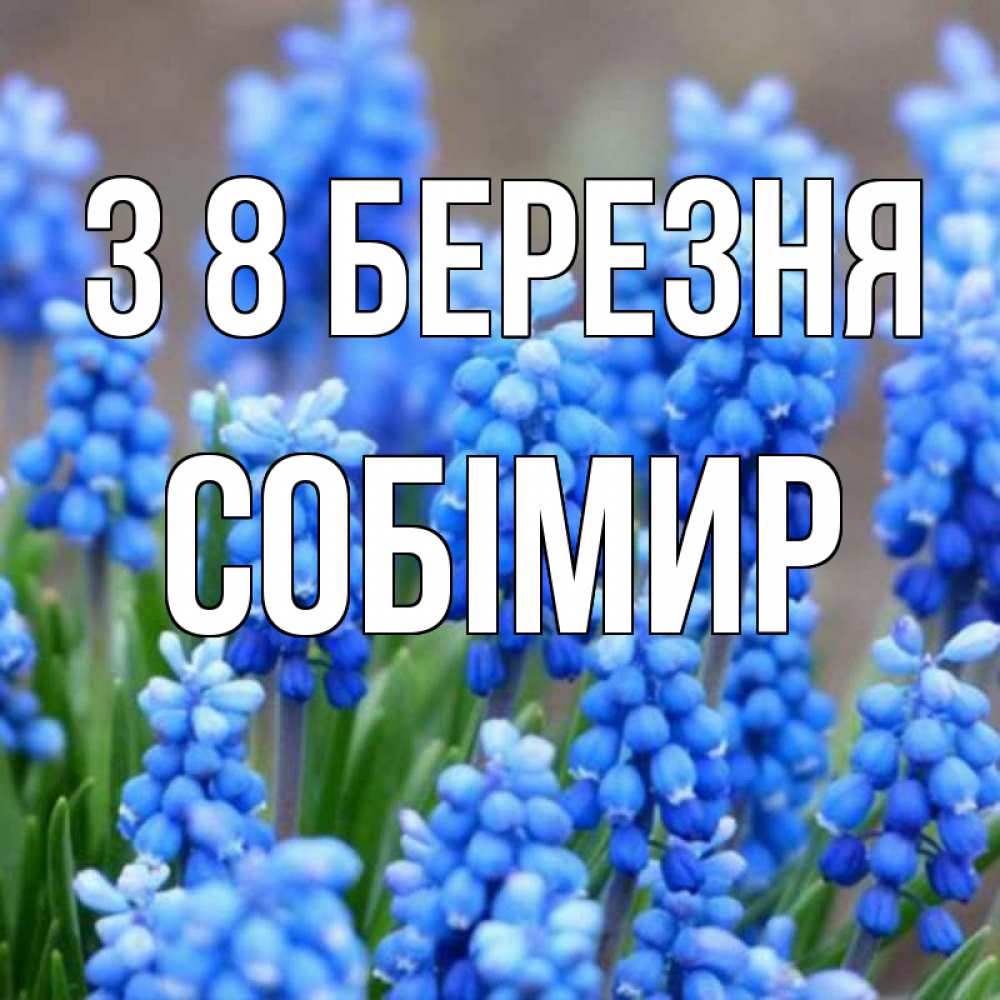 Открытка на каждый день з підписом, Собімир З 8 БЕРЕЗНЯ Поздравительная открытка для женщин с цветами на праздничную дату Прикольна листівка з побажанням онлайн скачати безкоштовно 