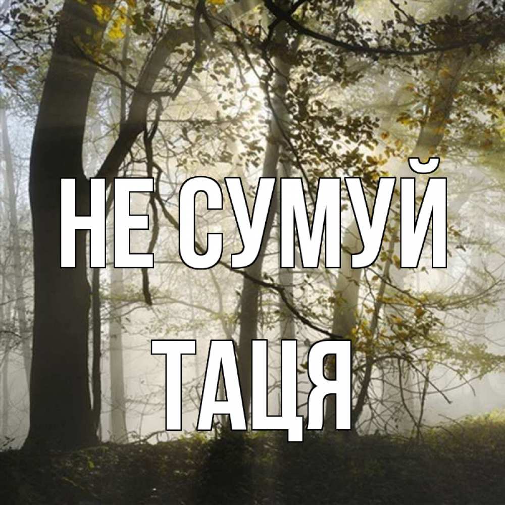 Открытка на каждый день з підписом, Таця Не сумуй лес и свет Прикольна листівка з побажанням онлайн скачати безкоштовно 