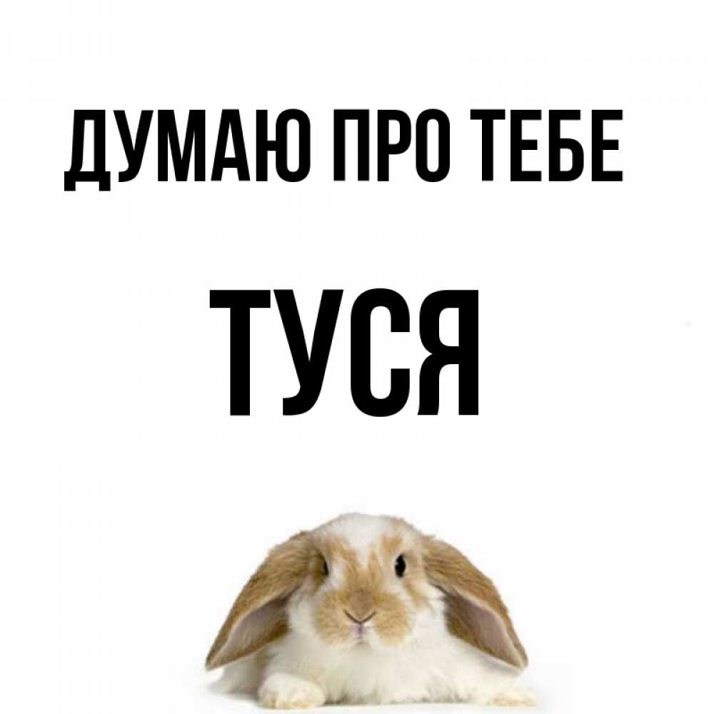 Открытка на каждый день з підписом, Туся Думаю про тебе подписать своими руками онлайн Прикольна листівка з побажанням онлайн скачати безкоштовно 